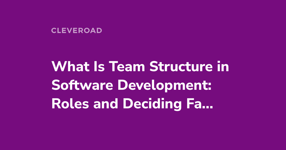 Software Development Team Structure Roles Types And Best Practices